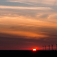 Sunset on a wind farm in Blairsburg, Iowa.